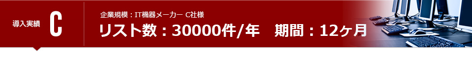 リスト数：30000件/年　期間：12ヶ月