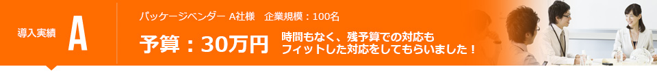 予算：30万円　時間もなく、残予算での対応もフィットした対応をしてもらいました！